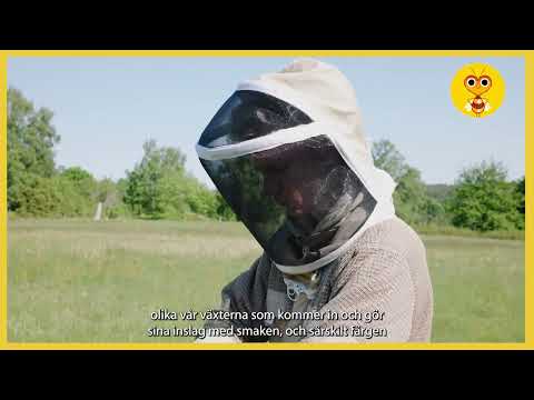 Biodlare Johan Aga, Vättle Bigårdar, om smak och färg på årets första honung, primörhonung.