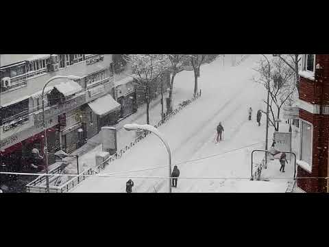 Trailer