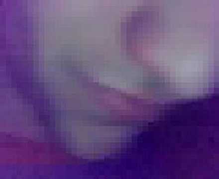 coliseum noche de reyes 2008 06