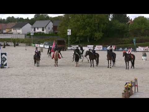 Dekorování – Working Equitation, Královice – 29. 9. 2024