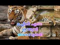 Indian Thara Rani Machili Tiger Inspiring Story ഇന്ത്യയുടെ അഭിമാനം