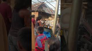 Download lagu Gordang sambilan#throwback #gordangsambilan#panyabungan#mandailing#sumaterautara#rindukampunghalaman mp3