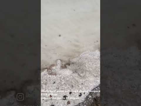 Industrial salt   namak video 4
