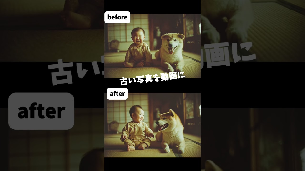 進化して帰ってきました