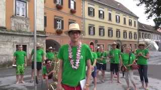 preview picture of video 'Grenzlandtrachtenkapelle Mureck - Cold Water Challenge 2014'