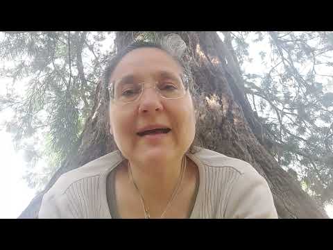 Play Video Youtube Video