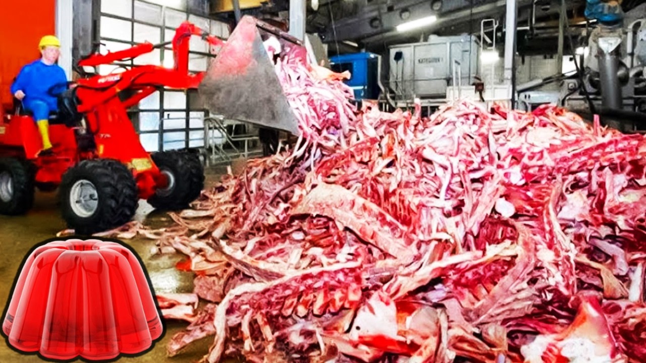 COMO se HACE la GELATINA de SOBRE royal en la FÁBRICA🍮