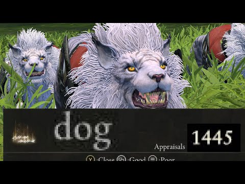 War Lions are Alright now? (Total Warhammer 3)