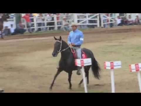 download lagu mp3 mp4 Argo Na Kamaze, download mp3 Argo Na Kamaze free download, download mp3 Argo Na Kamaze