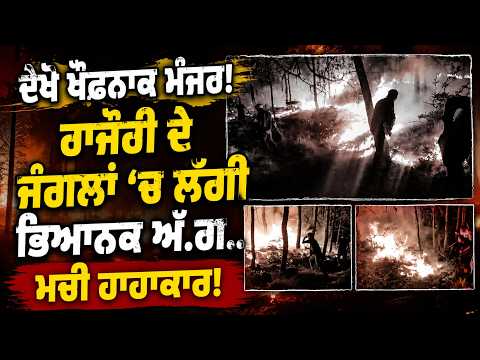 Rajouri Forest Blaze l ਦੇਖੋ ਖੌਫ਼ਨਾਕ ਮੰਜਰ! ਰਾਜੌਰੀ ਦੇ ਜੰਗਲਾਂ 'ਚ ਲੱਗੀ ਭਿਆਨਕ ਅੱ.ਗ.. ਮਚੀ ਹਾਹਾਕਾਰ!