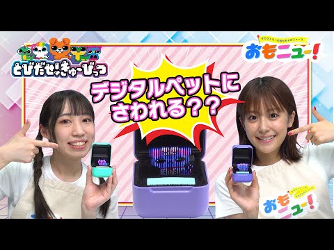 【新感覚デジタルペット！】「とびだせ！きゅーびっつ」で遊んでみたよ♪【おもニュー！】おもちゃ | 紹介動画 | タカラトミー公式