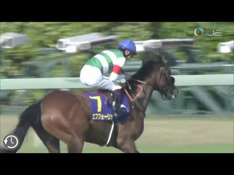 2021皐月賞(日本二千堅尼) 2021 Satsuki Sho(Japanese 2000 Guineas) G1