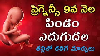 ప్రెగ్నెన్సీ 9వ నెల లక్షణాలు, శిశువు ఎదుగుదల | Pregnancy 9th month | Telugu | baby movements, Growth