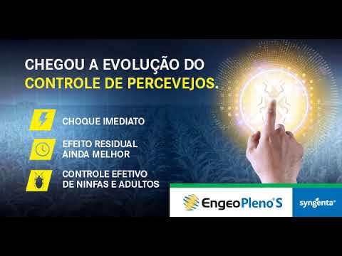 SYN 026 19 ENGEO MILHO REDE DISPLAY 600x314 1