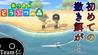 初めての撒き餌でまさかの妨害【あつまれどうぶつの森】#8