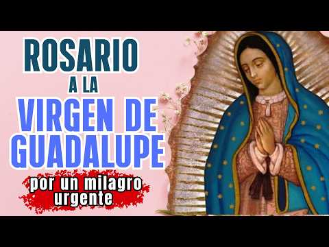 ROSARY TO THE VIRGIN OF GUADALUPE, FOR AN URGENT MIRACLE.