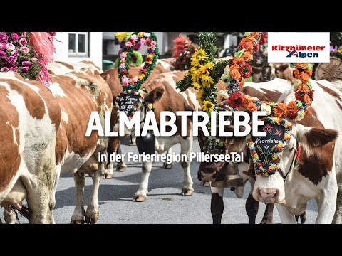 Almabtriebe & Feste im PillerseeTal