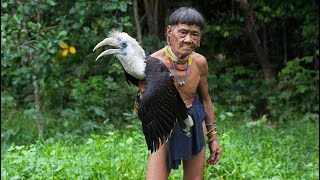 Borneo Death Blow - full documentary