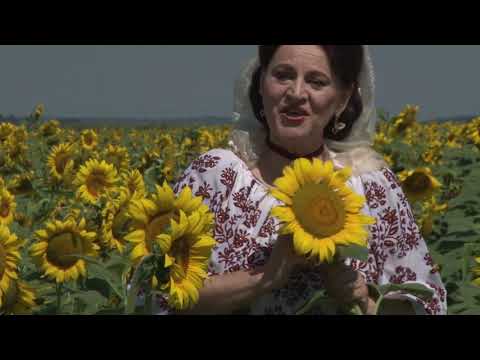 Elisabeta TURCU   Măi neicuță din Pitești