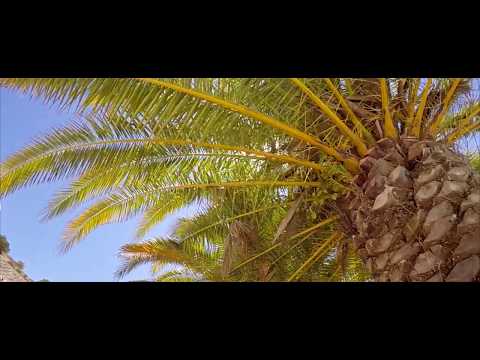 download lagu mp3 mp4 Eliza Was Here Portugal, download lagu Eliza Was Here Portugal gratis, unduh video klip Eliza Was Here Portugal