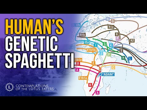 Mapping the Genealogy of Homo Sapiens