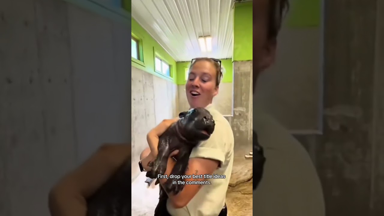 A documentary about Mars! https://api.leadconnectorhq.com/widget/form/v1E8hpfh3mc5SQzPAqil