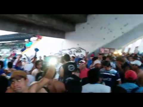 "Vamos academia, Blooming ponga huevo" Barra: Los Chiflados &bull; Club: Blooming