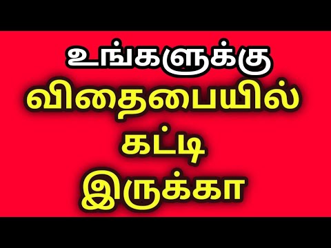 vithai payiel katti don't worry about your body