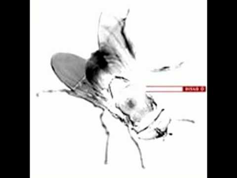 Cessio - Sal y Mileto