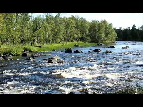 Psalm 6 Audiobook with Nature Sounds (Treasury of David by Spurgeon)