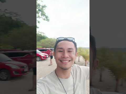 Chilling by the Beach