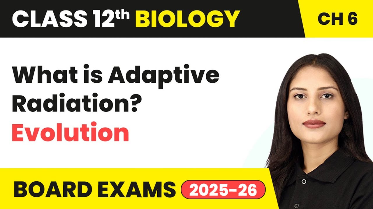 What is Adaptive Radiation? - Evolution | Class 12 Biology Chapter 6 | CBSE 2024-25