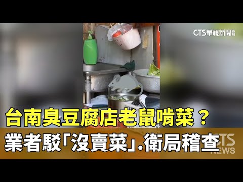 台南臭豆腐店老鼠啃菜？　業者駁「沒賣菜」　衛局稽查