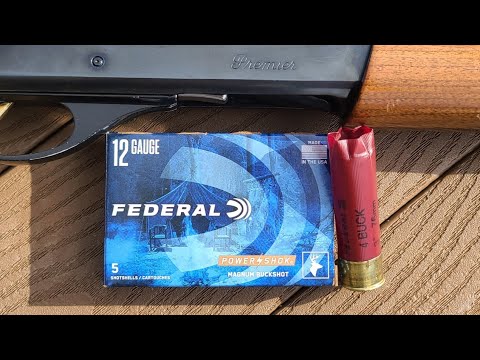 Federal Power-Shok 12ga 3" 41 Pellet 4 Buck 40yd Test W/ Remington 11-87 & Stock Full Choke