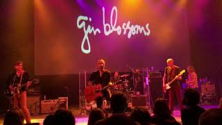 Gin Blossoms - Face the Dark - San Antonio 3.8.19