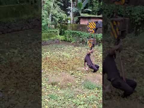 #dog lover#rescue#❤️❤️