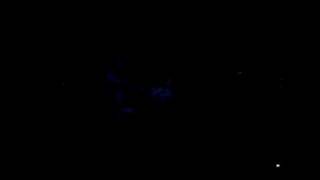 Kaddisfly - Birds (Septembre) - Live