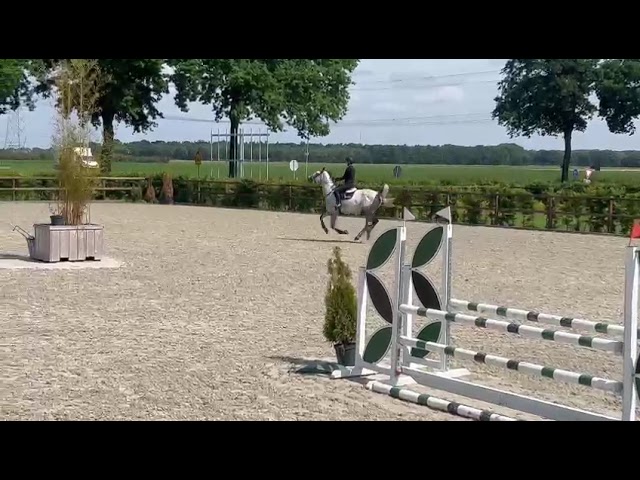 &Agrave; vendre jument 10 ans Darco X Quick star 