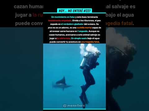 ¡A Un Milímetro De Ser Atravesado En El Mar! 🥶 227% #mar #peligro #buzova