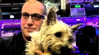 The Belldog - A Brian Eno Cover
