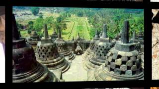 Dulce Pontes-I girasoli.