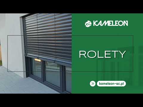 Zobacz filmy, Kameleon, Bełchatów