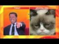 Anchor Can't Stop Laughing @ Funny Cat Face - Look At That Cat #Blooper