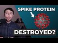 THIS Destroys Spike Protein!?