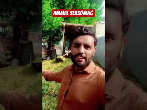 #Shailja is getting ready for animals #@#