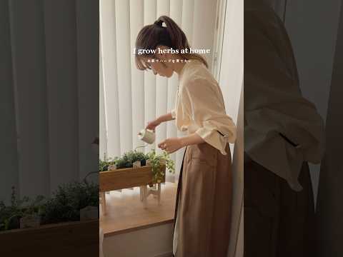 秋に育てたい芳香のあるハーブ：コンテナや地植えに適した植物トップ 5  庭園