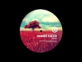 Johnny Fiasco - Yolo (Paul Youx Mix) Nuphuture traxx records (NPC009)