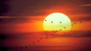 Download lagu Tetamu Senja - Kopratasa mp3