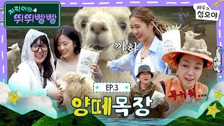 [影音] 240607 tvN 地樂室的滴滴叭叭 E03