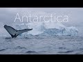 ANTARCTICA The Frozen Continent 4k DRONE Video